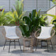 Light Gray Fabric/Tan Frame |#| Indoor/Outdoor Rattan Rope Bistro Set, Glass Top Table & Cushions-Tan/Light Gray
