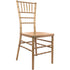 Advantage Resin Steel Core Chiavari Chair with Free Cushion