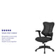 Black Mesh |#| High Back Designer Black Mesh Executive Ergonomic Chair with Adjustable Arms