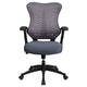 Gray Mesh |#| High Back Designer Gray Mesh Executive Ergonomic Chair with Adjustable Arms