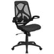 High Back Black Mesh Ergonomic Office Chair-Adjustable Lumbar, 2-Paddle Control