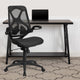 High Back Black Mesh Ergonomic Office Chair-Adjustable Lumbar, 2-Paddle Control