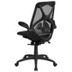 High Back Black Mesh Ergonomic Office Chair-Adjustable Lumbar, 2-Paddle Control