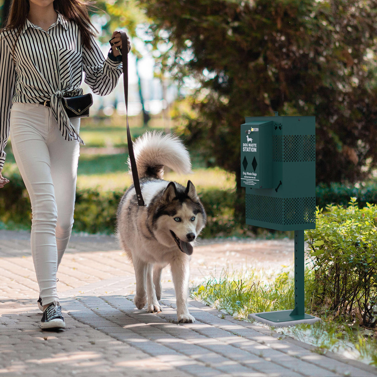 Compact Pet Waste Station with Rectangle Trash Can and Roll Waste Bag Dispenser