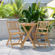 Indoor/Outdoor Acacia Wood Folding Table and 2 Chair Bistro Set in Natural