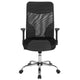 High Back Ergonomic Office Chair with Black and White Contemporary Mesh Design